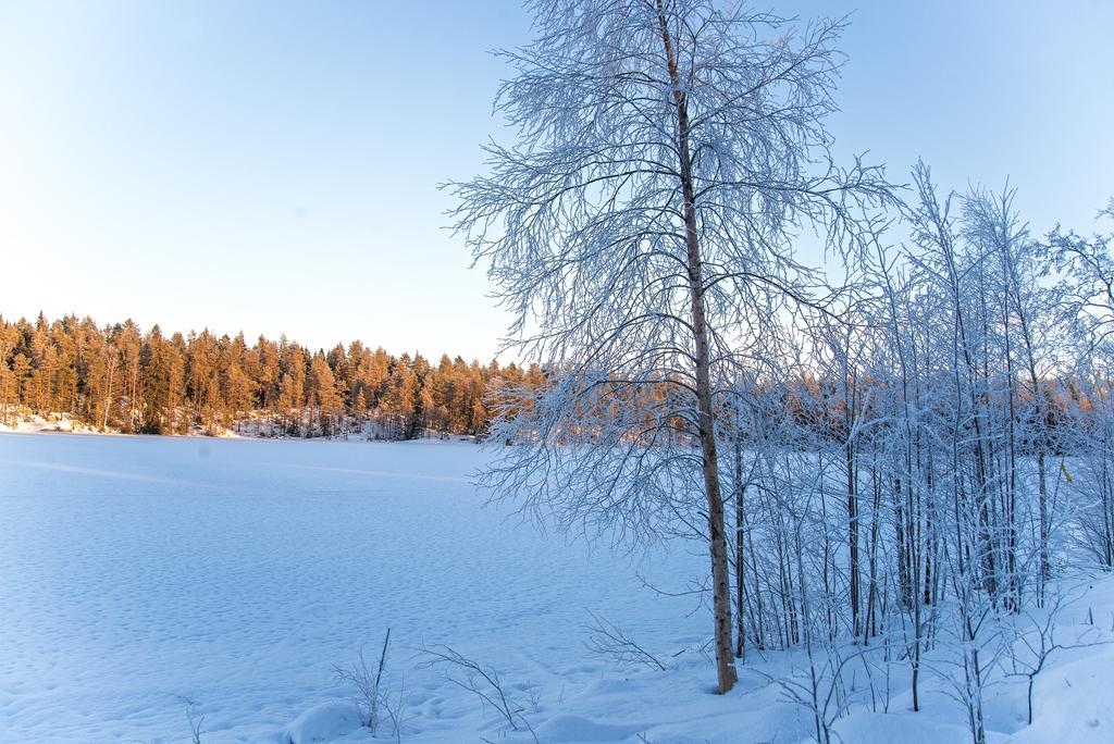 Gerika 1 Villa Enonkoski Kültér fotó